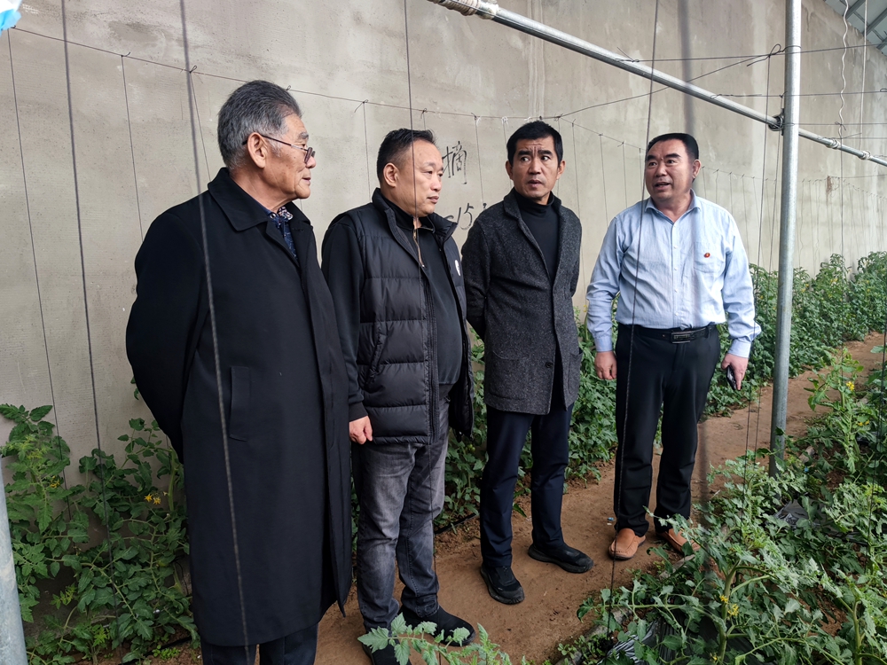红外矿肥效果考察_副本.jpg
